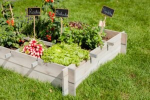Planification de potager avec divers légumes d'été comme les tomates