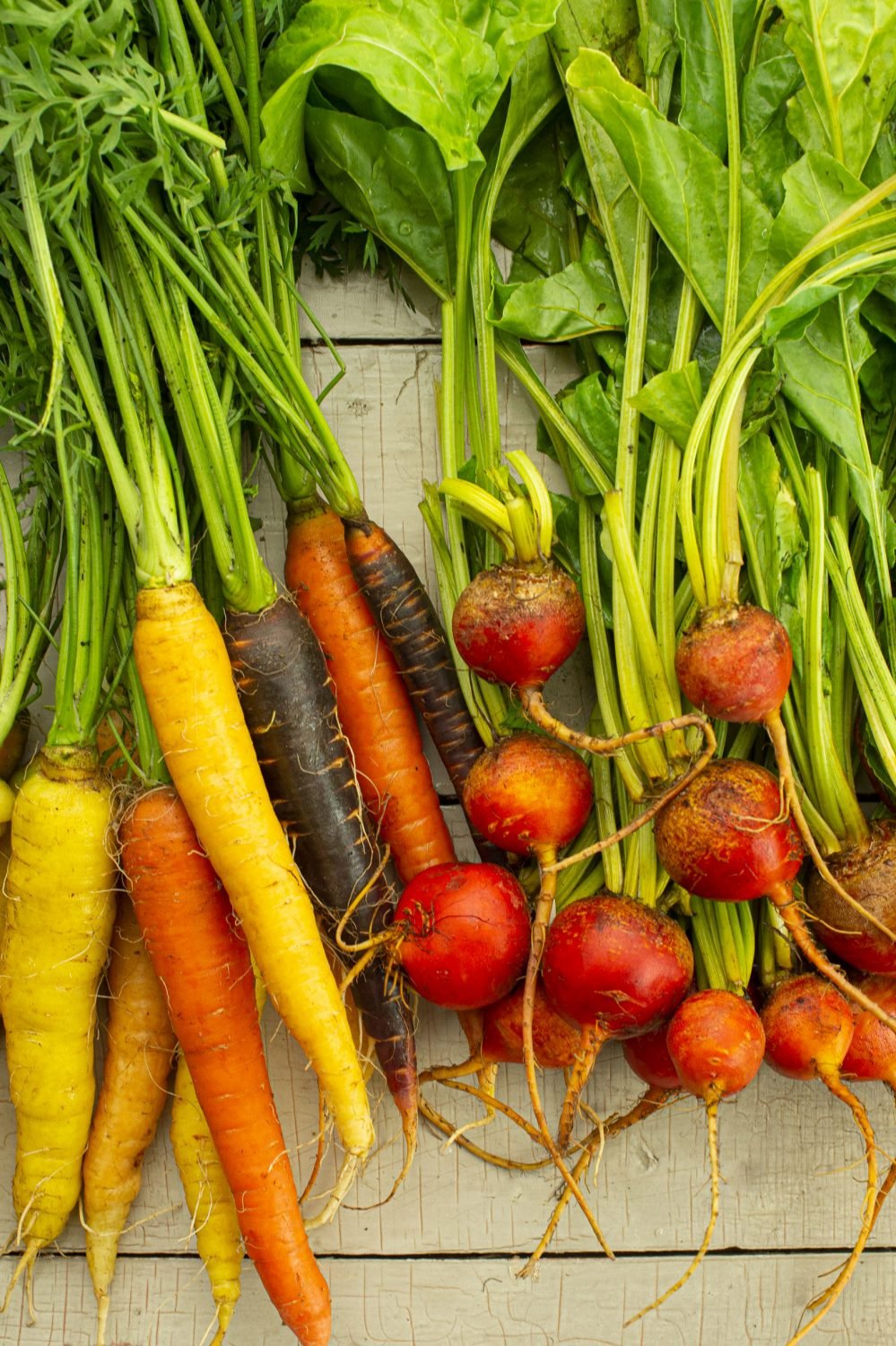 Legumes racines varies sur un etal de marche pour un hiver gourmand