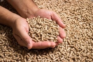image les cles pour choisir des pellets de qualite superieure