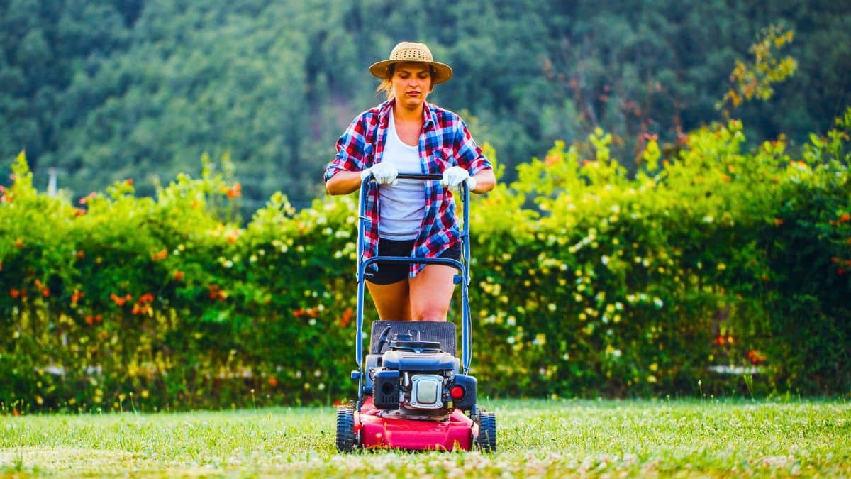 pour avoir une pelouse parfaite, voici la fréquence de tonte idéale selon les experts