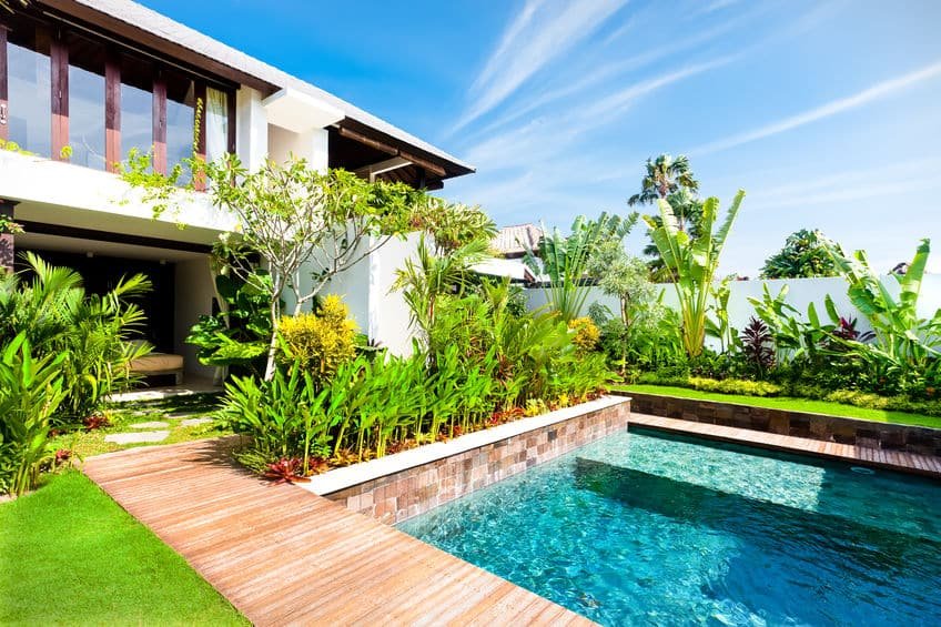 modern garden with a swimming pool and fancy plant